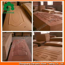 Nature Teak / Ash / Sapele / Beech / Wood Veneer Piel de la puerta